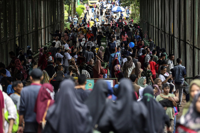 pengunjung serbu taman margasatwa ragunan