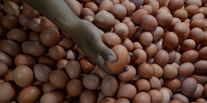 Pembeli Teriak, Ini Penyebab Harga Telur di Pasaran Naik Tajam