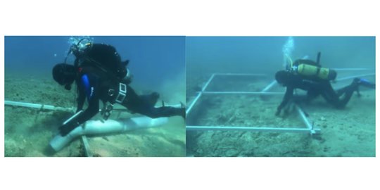 Ilmuwan Temukan Jalan Bawah Laut Bentuknya Lorong Berbatu di Wilayah Eropa
