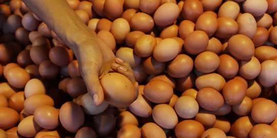 Harga Telur Ayam Mahal, Badan Pangan Sebut Ada Perubahan Biaya Produksi