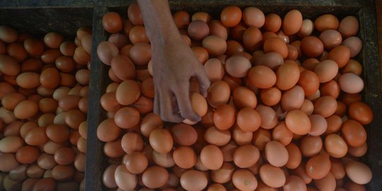 Harga Telur di Bali Tembus Rp58 Ribu, Ada Pedagang Jual Eceran per Butir