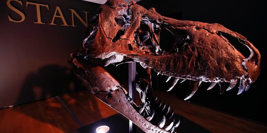 Hewan Ini Ternyata Jadi Sohib Dinosaurus di Zamannya