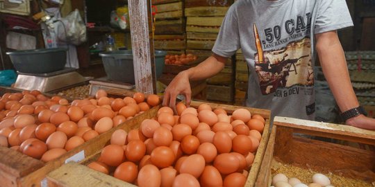 Curhat Pilu Pedagang Kena Imbas Mahalnya Harga Telur Ayam