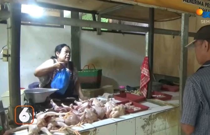 harga telur ayam naik warga pilih telur puyuh