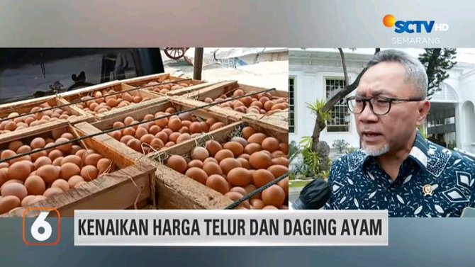 Harga Telur Ayam Di Jateng Melonjak Warga Pilih Beli Telur Puyuh