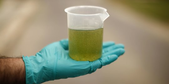 Apakah Biofuel Adalah Bahan Bakar Ramah Lingkungan? Ketahui Pengertian & Manfaatnya