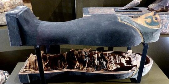 Mumi Mesir Berusia 3000 Tahun Awalnya Dikira Jasad Manusia, Ternyata Bukan