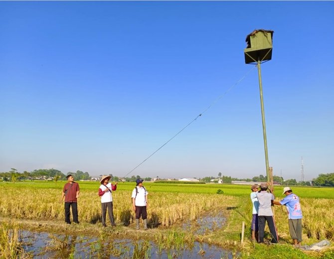 pemkab jember dorong petani pakai pupuk organik