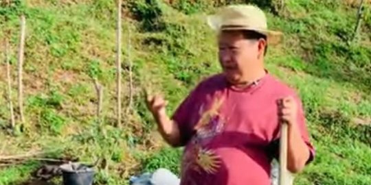 Pensiunan Jenderal Bintang 3 Polri Turun ke Kebun, Petik Kopi dengan Gaya Pak Tani