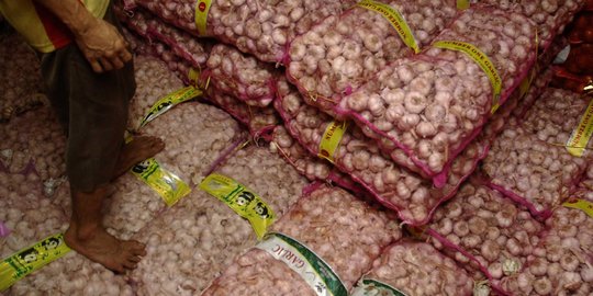 Terungkap, Ini Penyebab Naiknya Harga Bawang Putih