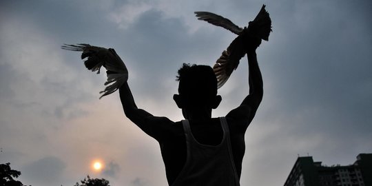 Bermain Burung di Bantaran Kali Ciliwung