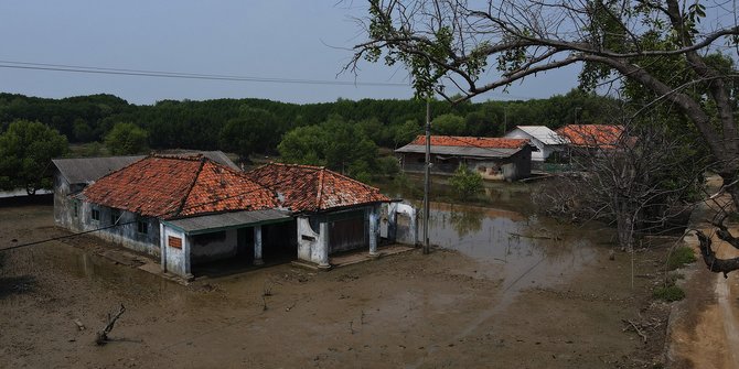 Nestapa Kampung Muara Beting yang Terancam Hilang Akibat Abrasi