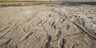 Ratusan Jejak Kaki Manusia Purba Ditemukan Pada Abu Vulkanik 19.000 Tahun