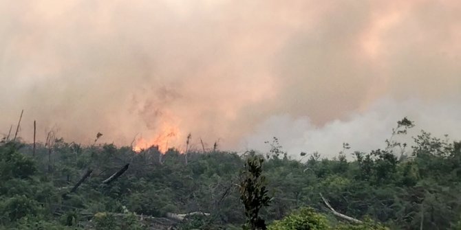 Kebakaran Hutan di Pesisir Selatan Meluas hingga 100 Hektare, Pemadaman Berlanjut