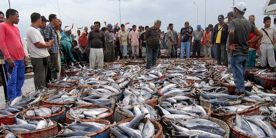 KKP Jemput Bola Buka Layanan Pengurusan NIB dan Kusuka ke Pedagang Ikan