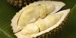 Jemaah Calon Haji Asal Jatim Nekat Bawa Durian, Ternyata Pesanan Ibu Hamil Ngidam