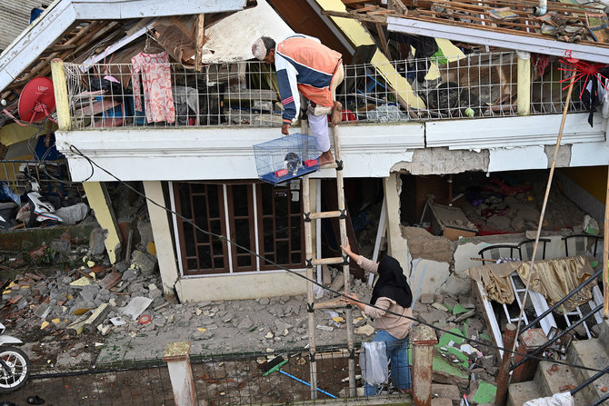 penyelamatan kucing dari rumah hancur akibat gempa cianjur