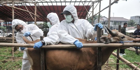 Jelang Iduladha, Pemeriksaan Kesehatan Hewan Kurban Digencarkan