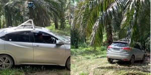 Apes, Mobil Google Maps Nyasar ke Kebun Sawit