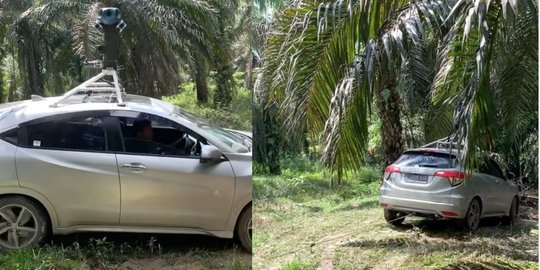 Apes, Mobil Google Maps Nyasar ke Kebun Sawit