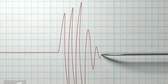 Aktivitas Subduksi Lempeng Indo-Australia jadi Pemicu Gempa M 5,3 di Mentawai