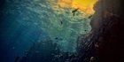 Ahli Temukan Danau di Bawah Laut, Orang yang Menyelam Tak Bisa Kembali Hidup-Hidup