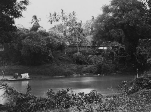 begini penampakan bekasi zaman belanda masih hutan beda banget sama sekarang