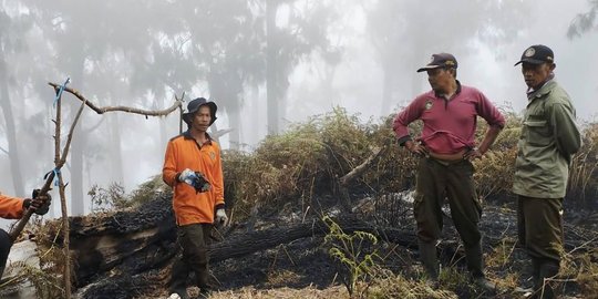 Ulah Para Pemburu Liar Diduga Sebabkan Gunung Arjuno Welirang Terbakar