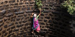 Perjuangan Emak-Emak di India Cari Air Sampai Masuk Sumur