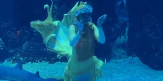 Bak Putri Duyung, Ini Potret Ria Ricis Berenang di Akuarium Raksasa Bareng Hiu