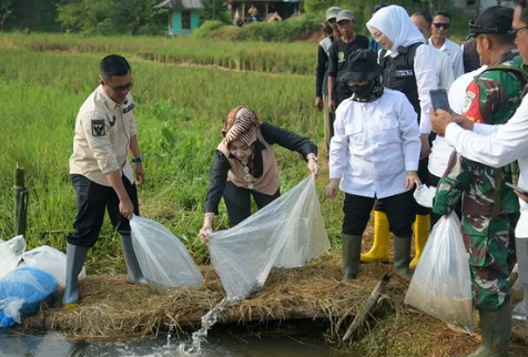 penyebaran benih ikan nila di danau dan embung wilayah purwakarta