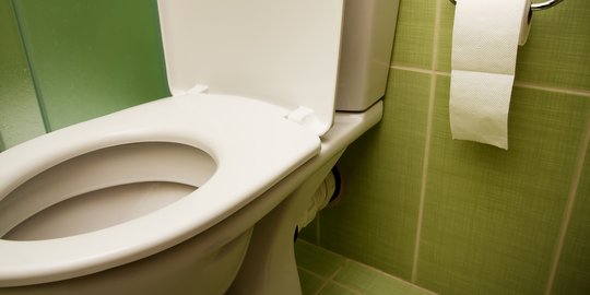 Cara Mengatasi WC Mampet Karena Pembalut, Ketahui Langkahnya