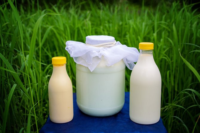 ilustrasi susu sapi sumber kalsium dan protein hewani