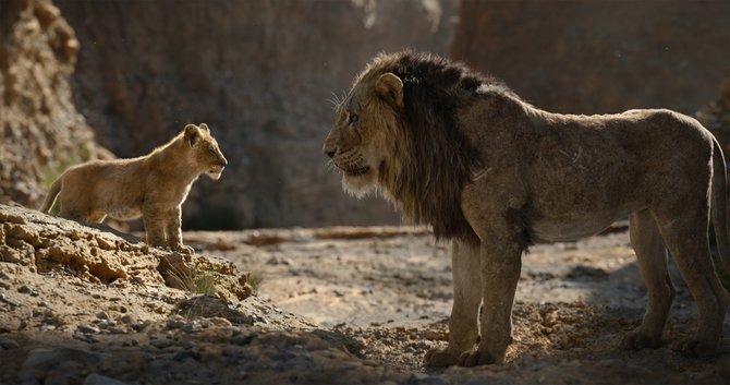 live action film animasi disney the lion king