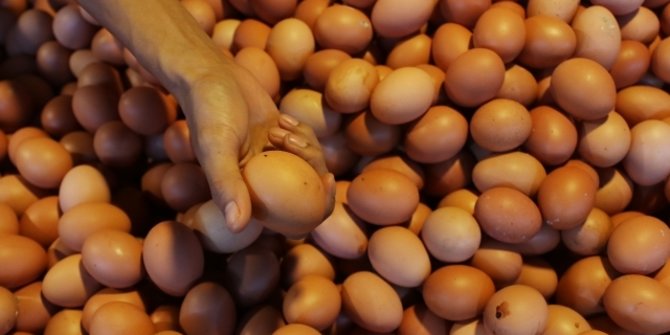 Harga Telur Meroket Hingga Rp32.000 per Kg, Pemerintah Bakal Beri Subsidi?