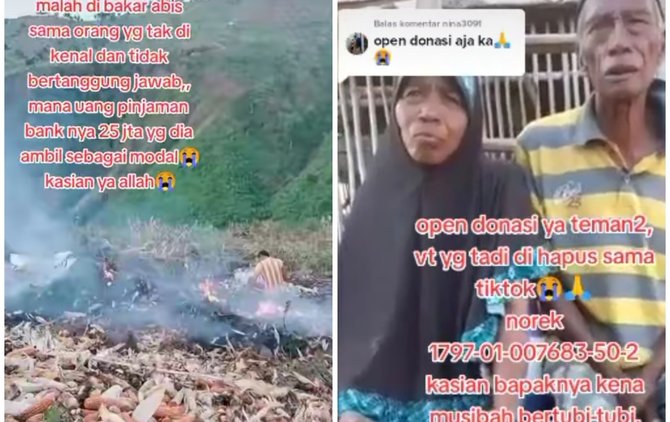 nasib kakek yang viral karena ladang jagungnya dibakar orang kini dapat donasi