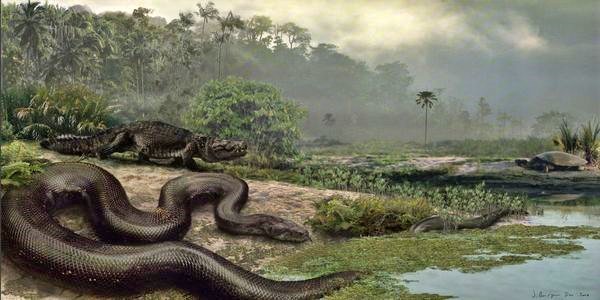 ular titanoboa