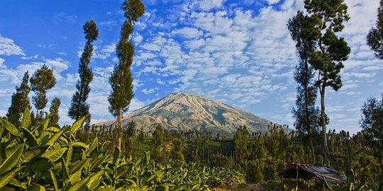 9 Wisata di Wonosobo, Sensasi Liburan di Negeri Atas Awan