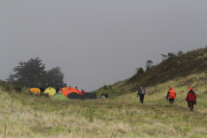 gunung prau kembali ramai dikunjungi pendaki