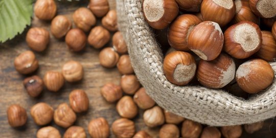 Kandungan Kacang Hazelnut dan Manfaatnya bagi Kesehatan Tubuh
