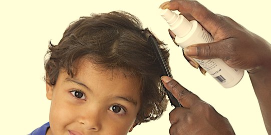 Ini Penyebab Mengapa Kutu Rambut Lebih Rentan Dialami Anak dan Cara Jitu Mencegahnya