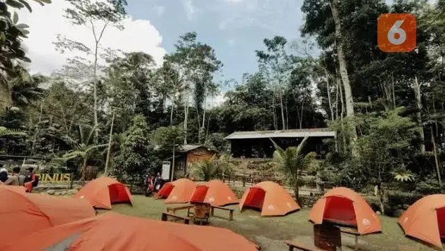 pinus camp di lereng gunung raung