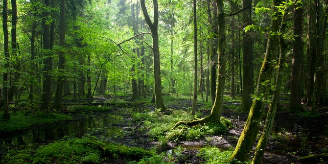 Pelestarian Alam adalah Proses Perlindungan Lingkungan, Berperan Penting
