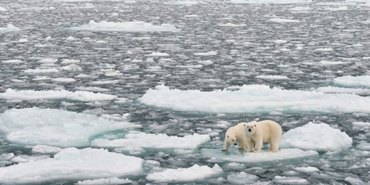 Cara Mengatasi Global Warming, Mulai dari Diri Sendiri