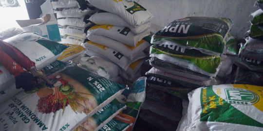 2.500 Ton NPK Kakao Kini Tersedia di Lampung, Petani Sudah Bisa Tebus