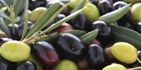 tentara yunani kuno terkenal garang di medan perang, ternyata ini makanannya