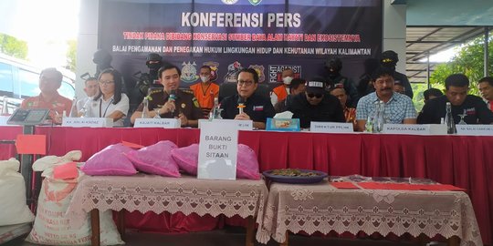 Sindikat Perdagangan Trenggiling Kalimantan Terbongkar, Bernilai Rp84 Miliar