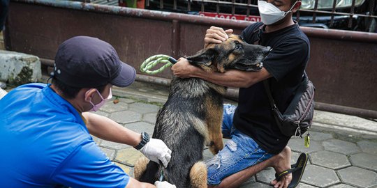 Sebelum Meninggal, Korban Gigitan Rabies Mengalami Gejala Takut Air dan Cahaya