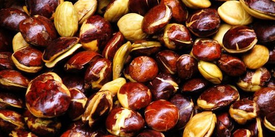 sedap dan alergi akibat konsumsi jengkol