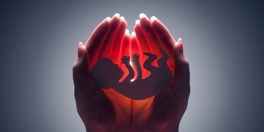 Ilmuwan Berhasil Ciptakan Embrio Manusia Sintetis, Tanpa Perlu Proses Pembuahan